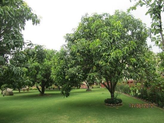 Jim Corbett Resort Ramnagar  Luaran gambar
