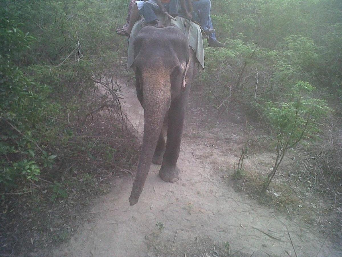 Jim Corbett Resort Ramnagar  Luaran gambar